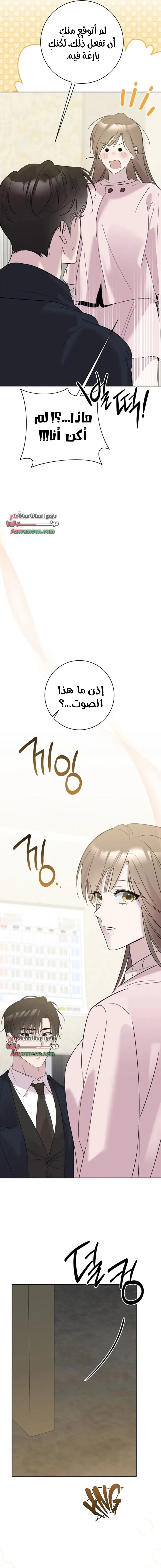 الصفحة 22