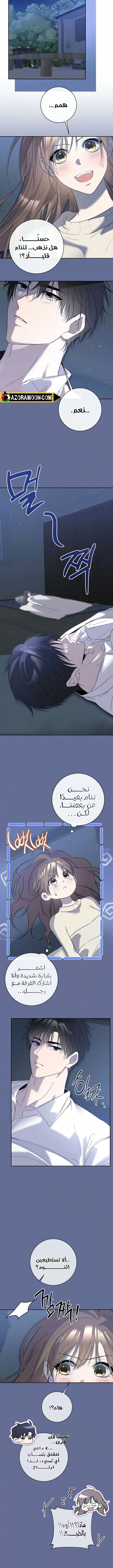 الصفحة 11