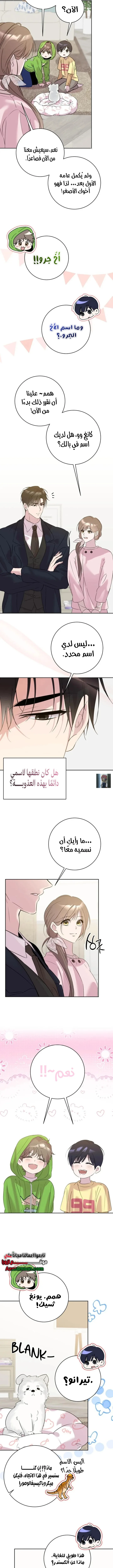 الصفحة 11