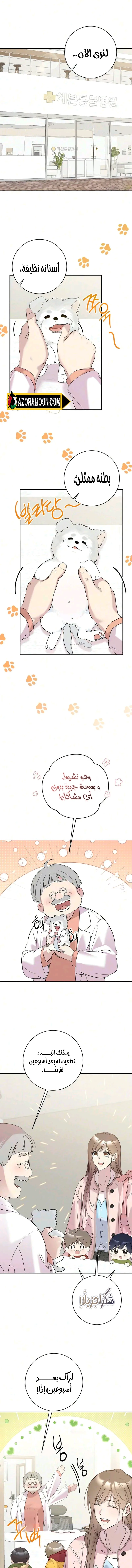 الصفحة 2