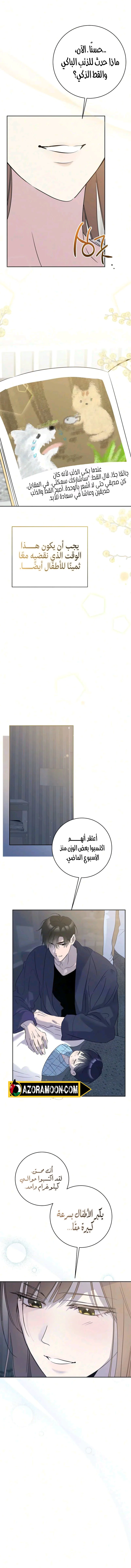 الصفحة 7
