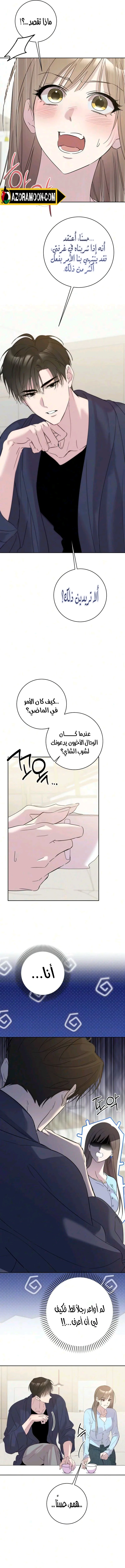 الصفحة 11