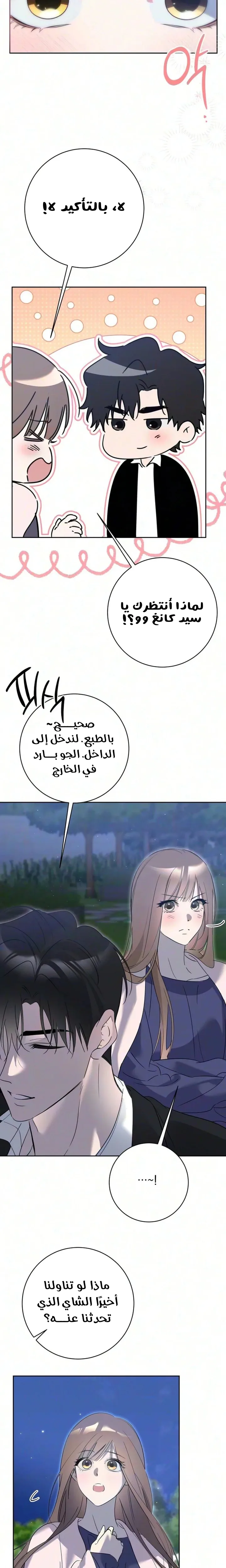 الصفحة 17
