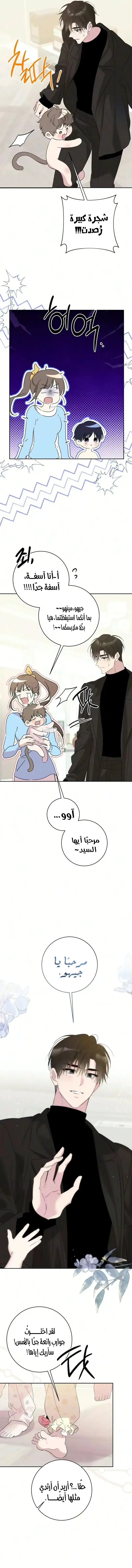 الصفحة 8
