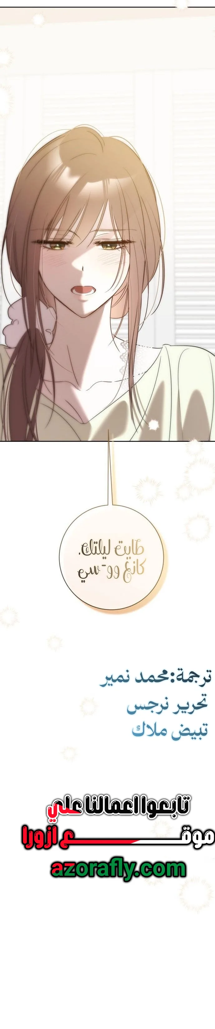 الصفحة 19