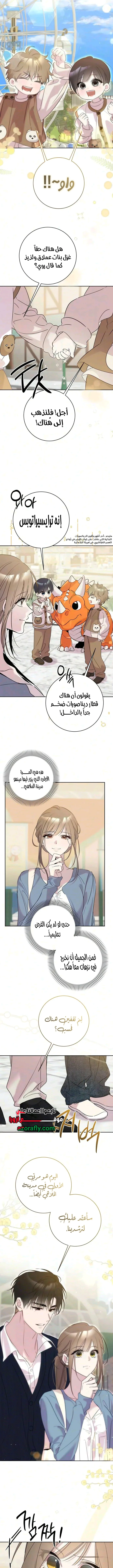 الصفحة 3