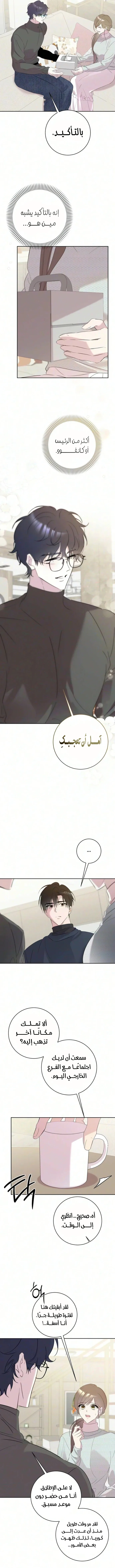 الصفحة 8
