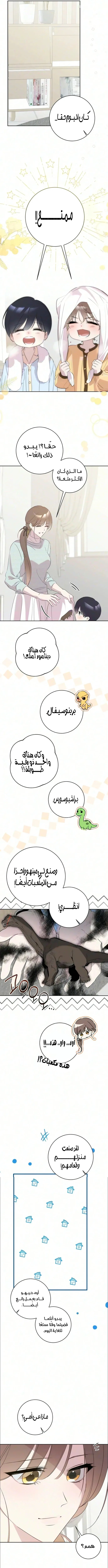 الصفحة 13