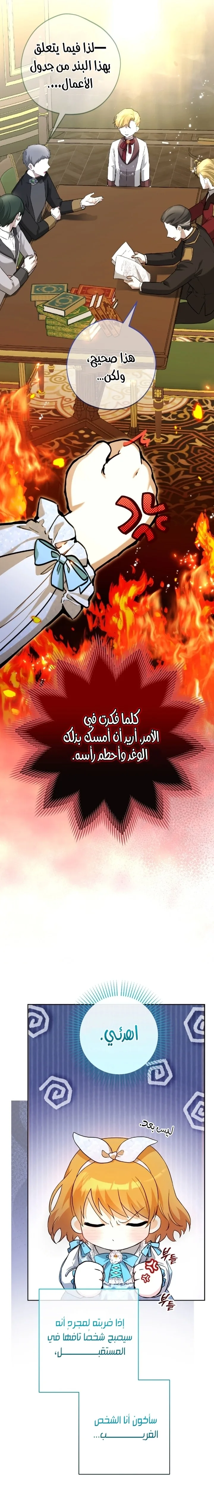 الصفحة 31