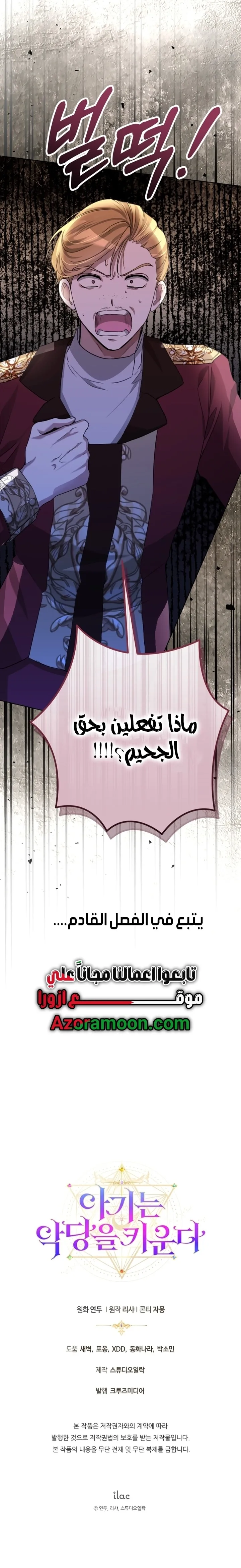 الصفحة 41