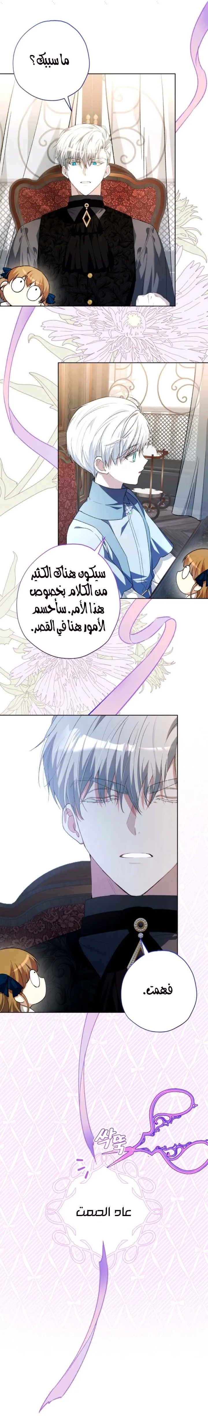 الصفحة 17