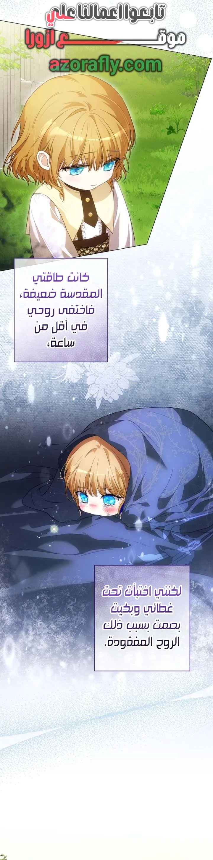 الصفحة 17