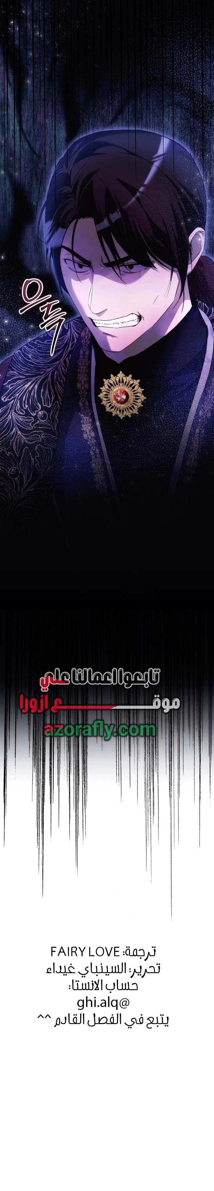 الصفحة 26