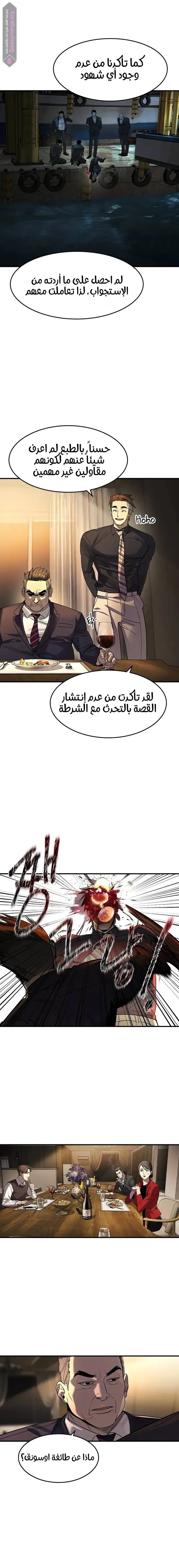 الصفحة 13
