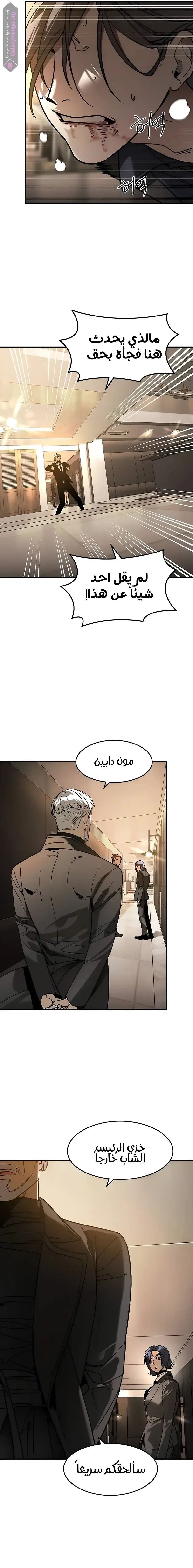 الصفحة 17