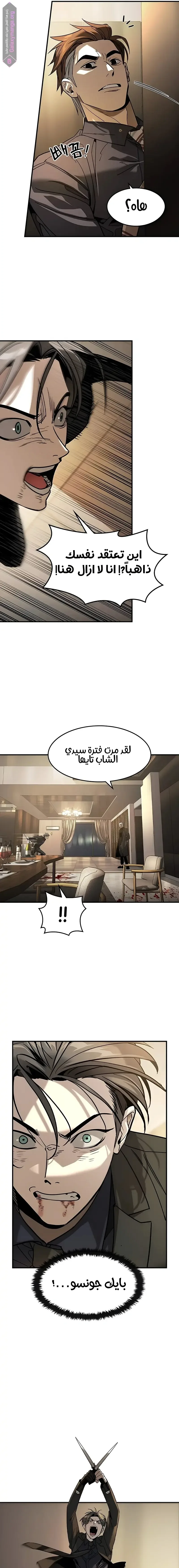 الصفحة 19