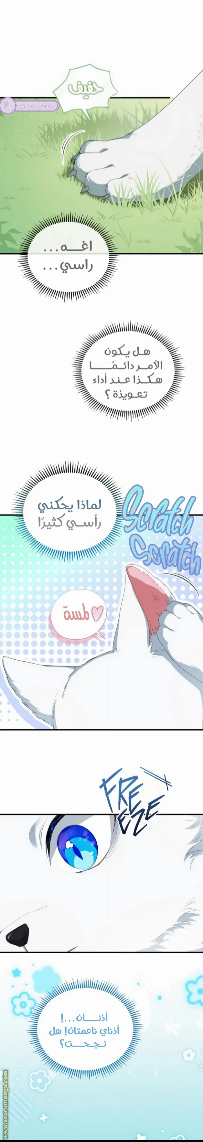 الصفحة 11