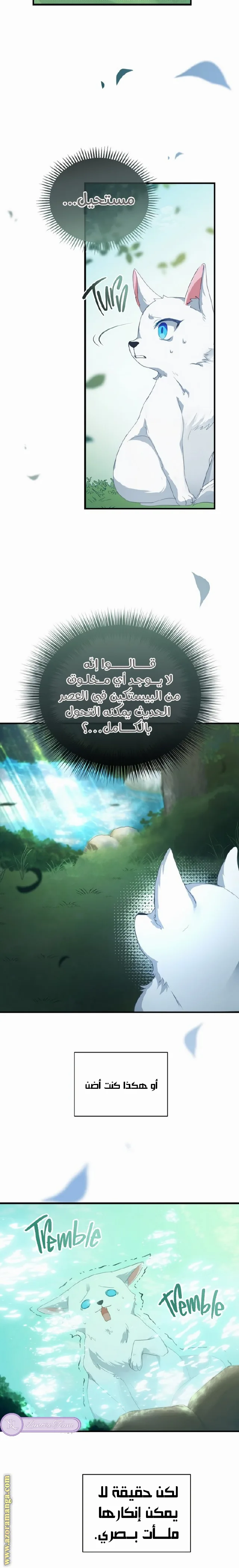 الصفحة 14
