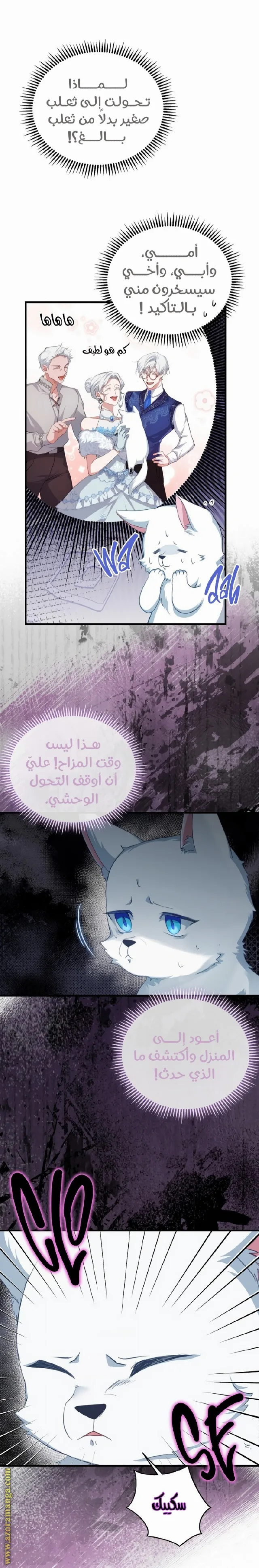 الصفحة 15
