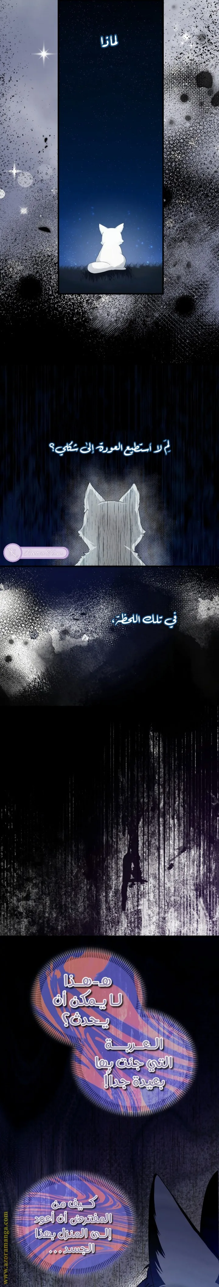 الصفحة 17