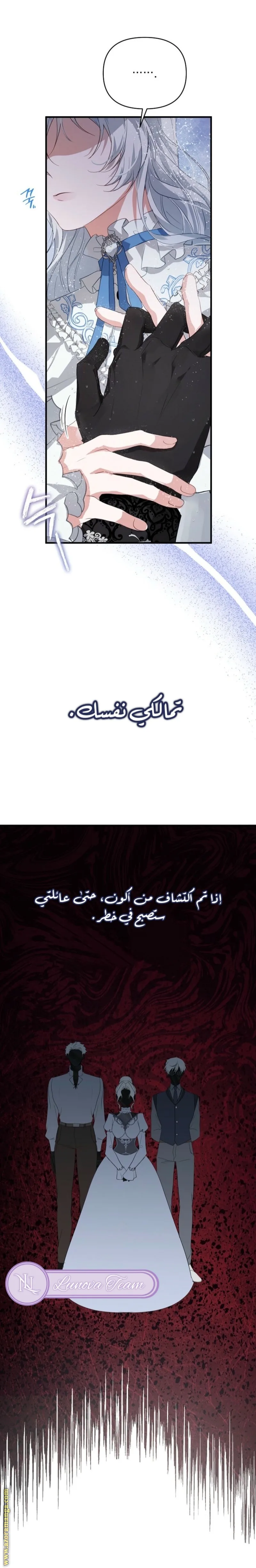 الصفحة 28