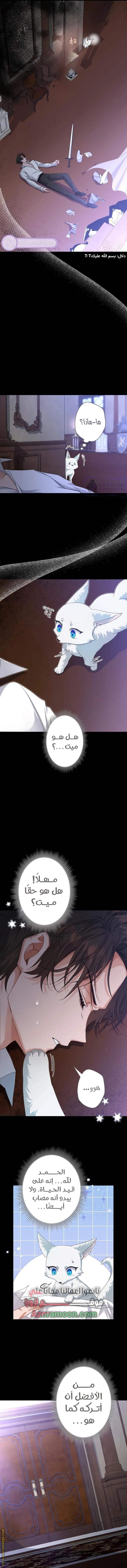 الصفحة 7