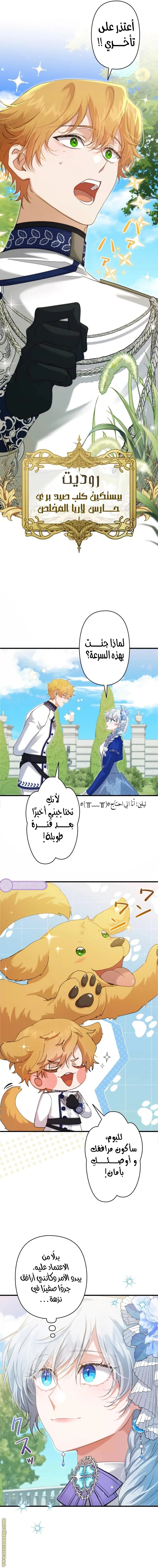 الصفحة 10