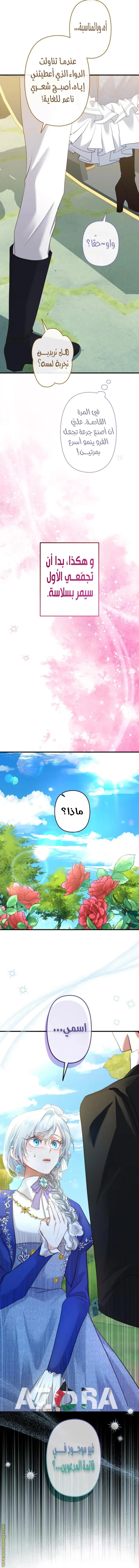 الصفحة 11