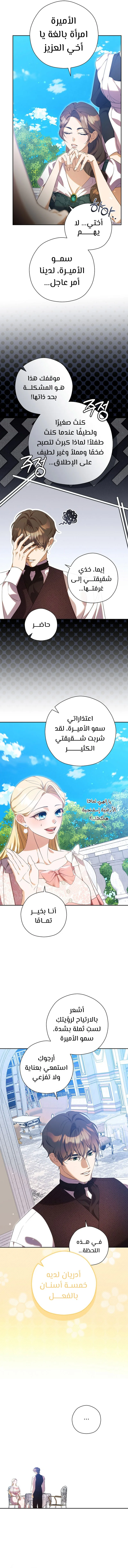 الصفحة 12