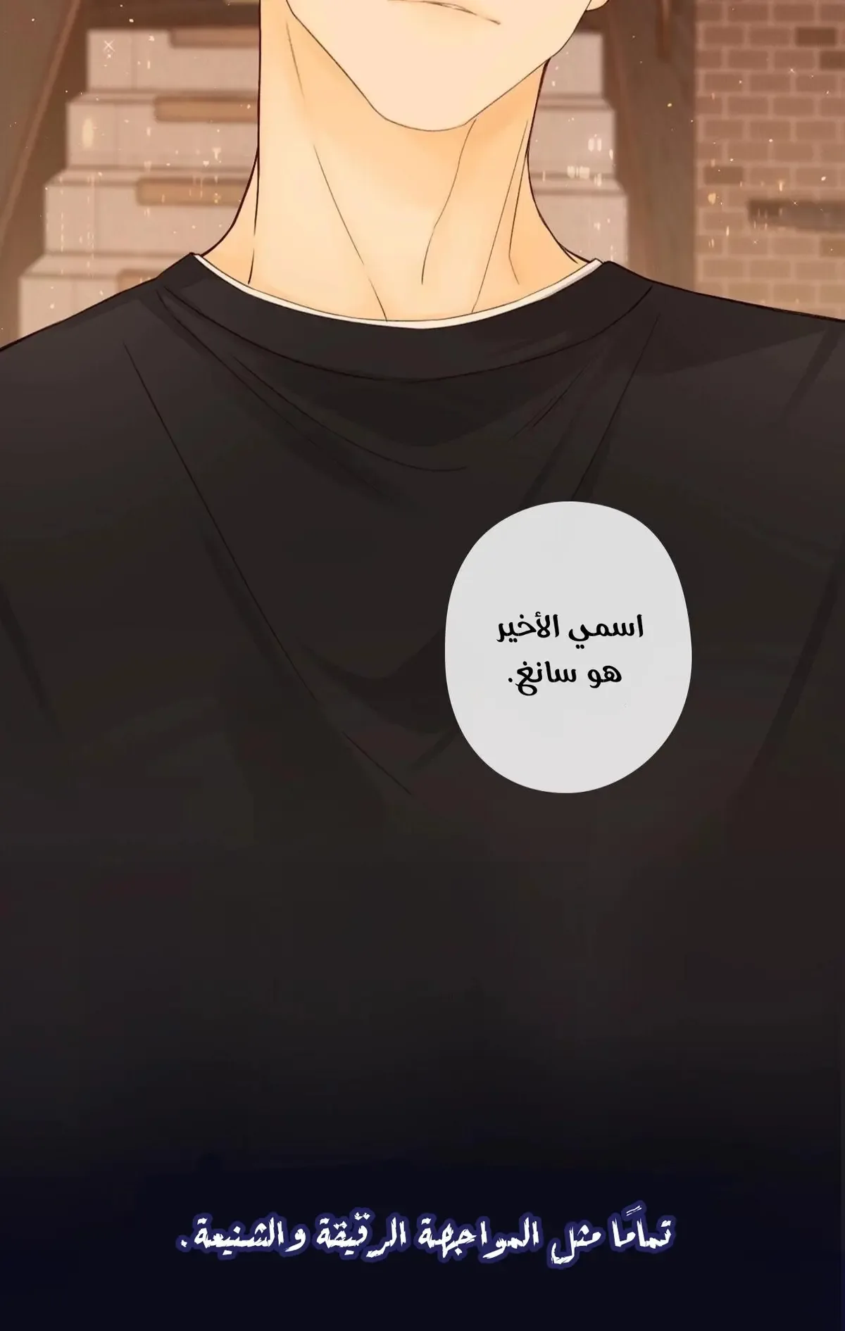 الصفحة 13