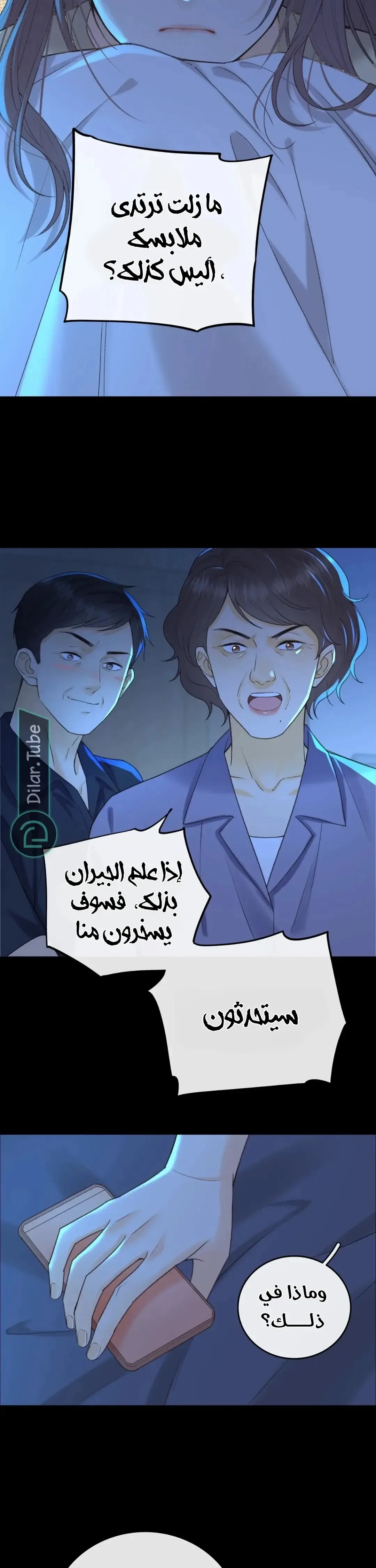 الصفحة 13