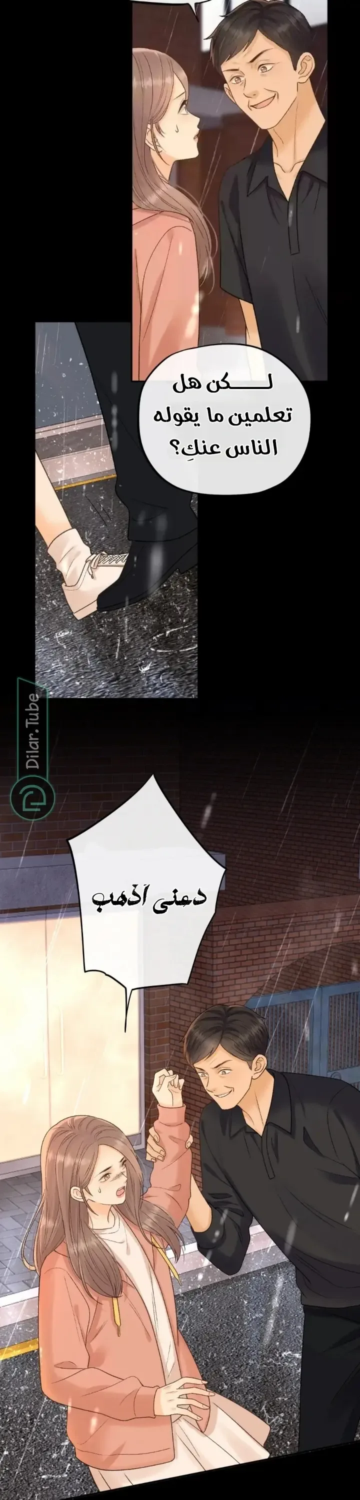 الصفحة 17