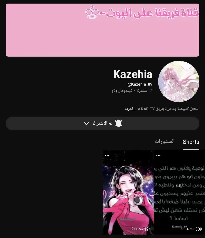 الصفحة 29