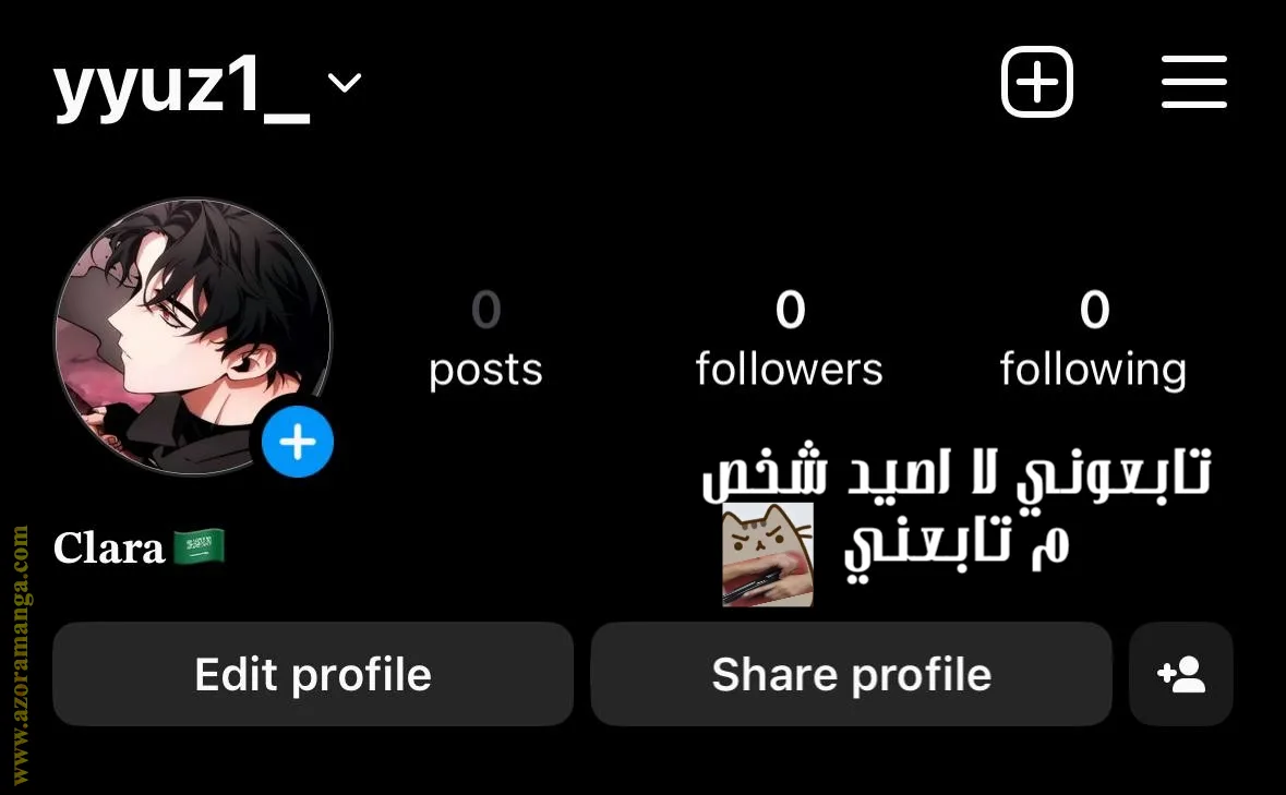الصفحة 13