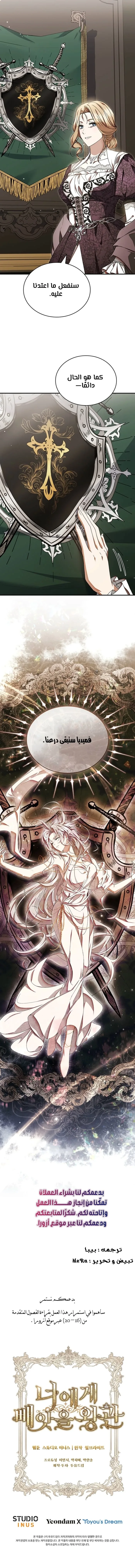 الصفحة 17