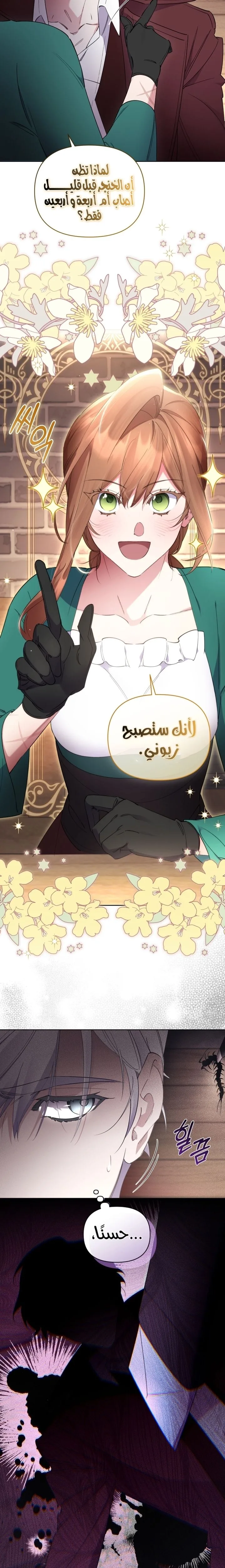 الصفحة 17