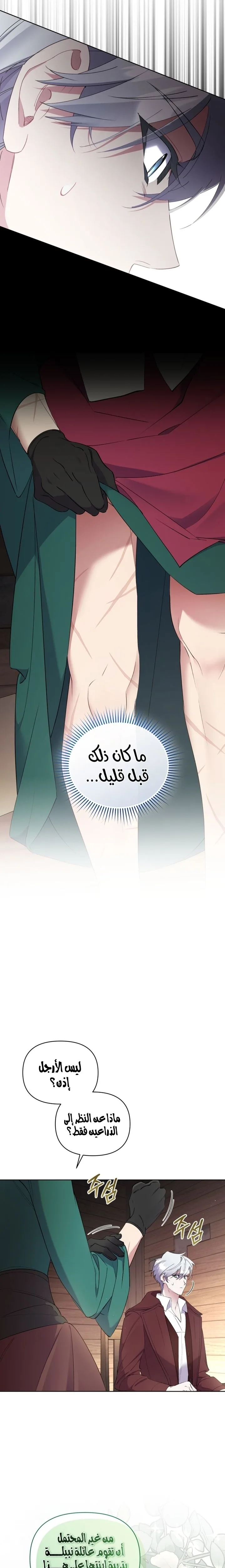 الصفحة 26