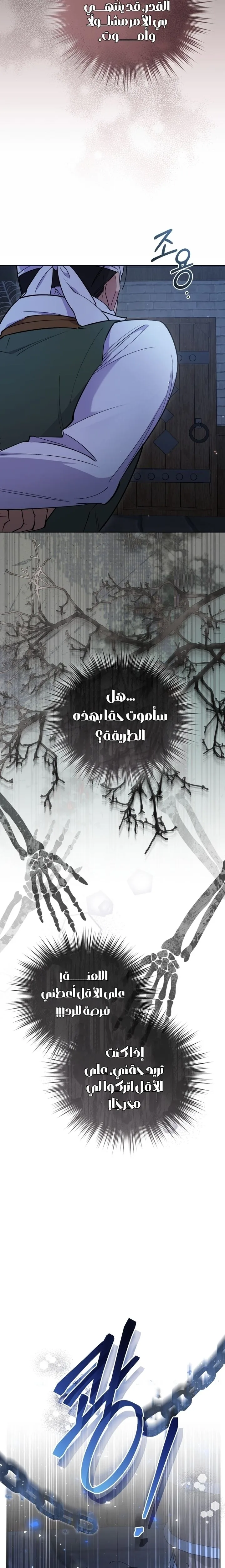 الصفحة 21