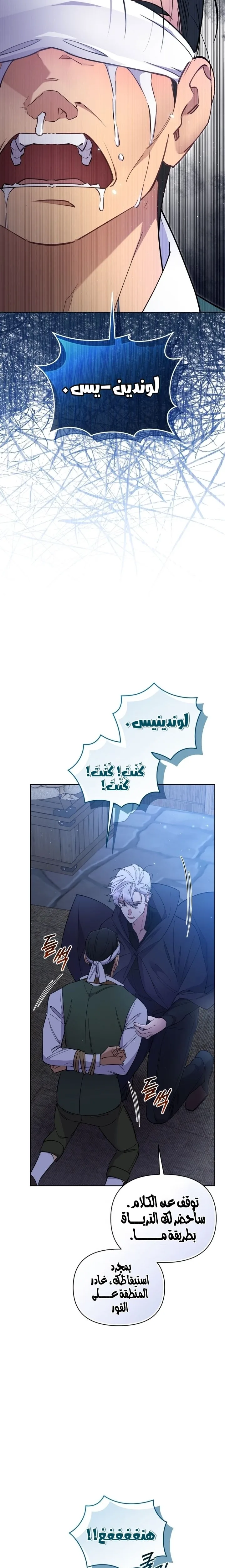 الصفحة 27