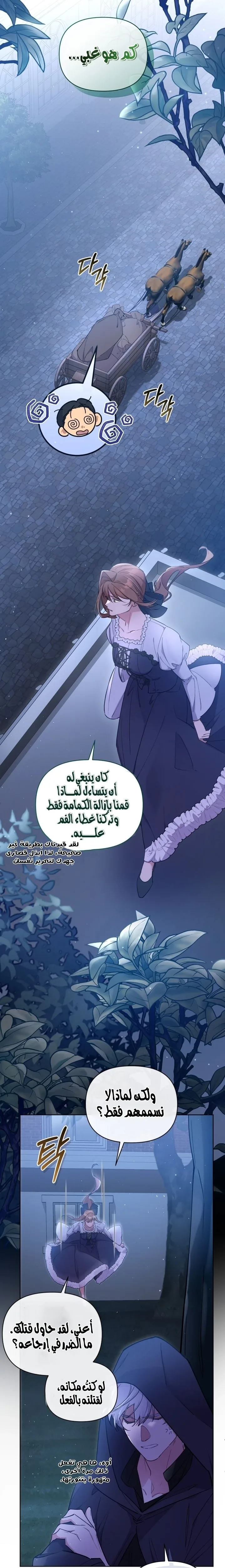 الصفحة 29