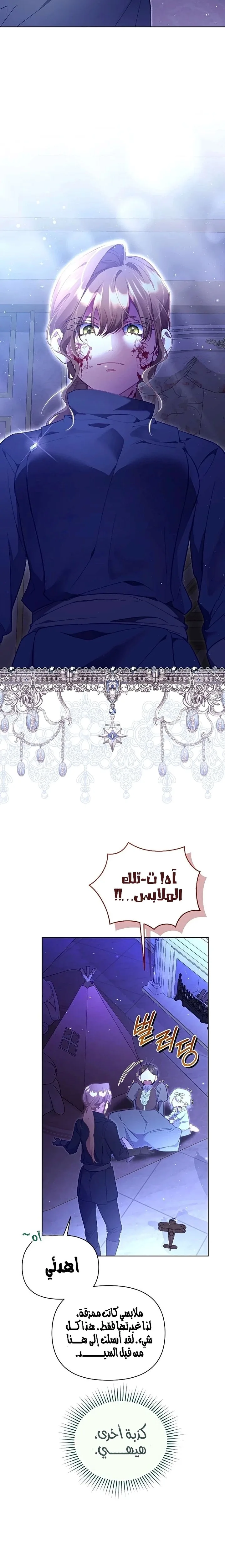 الصفحة 17