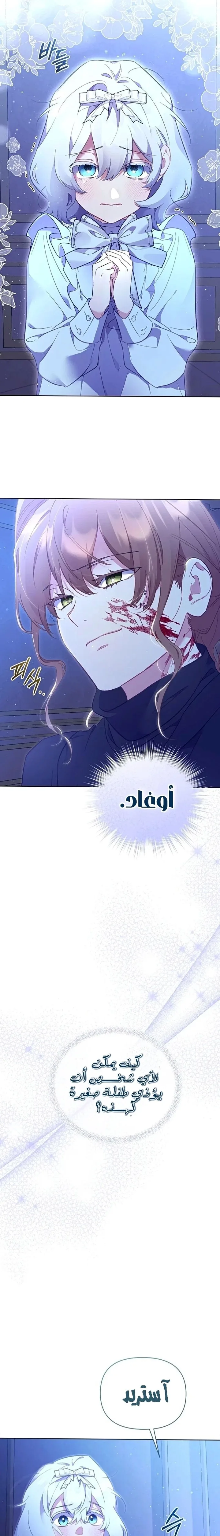 الصفحة 28