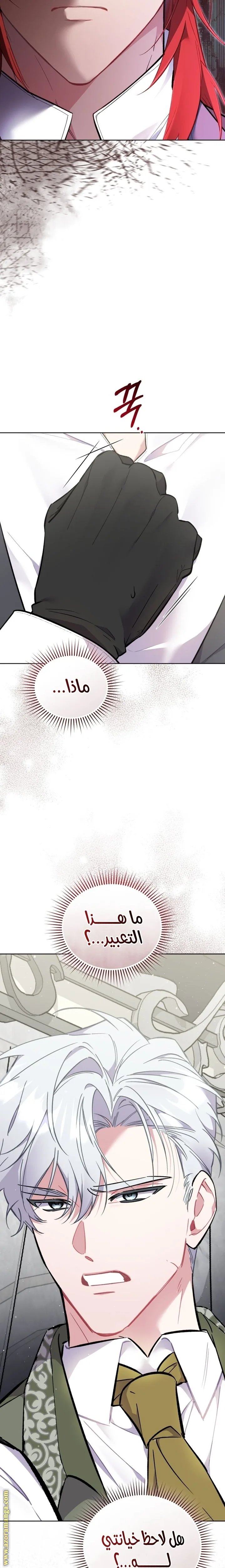 الصفحة 2