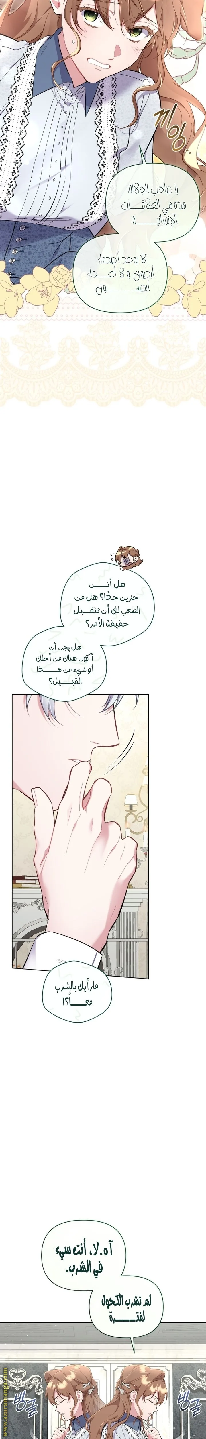 الصفحة 19
