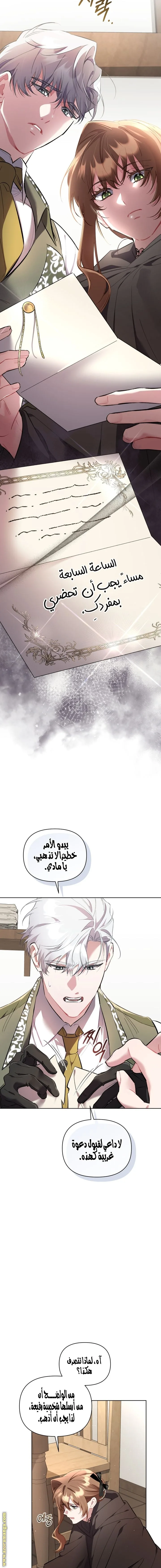 الصفحة 13