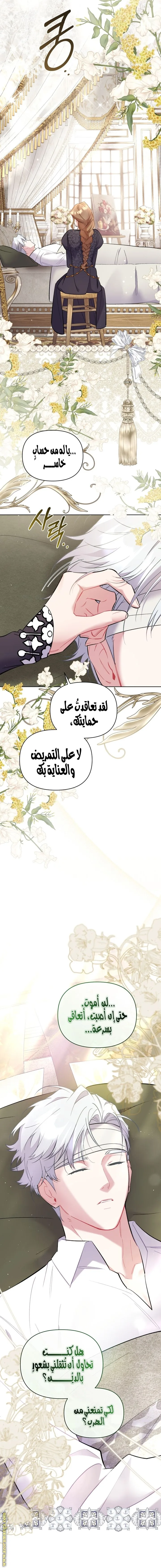 الصفحة 19