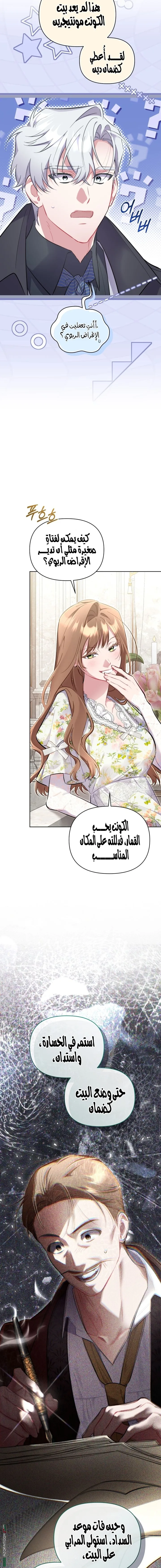 الصفحة 13