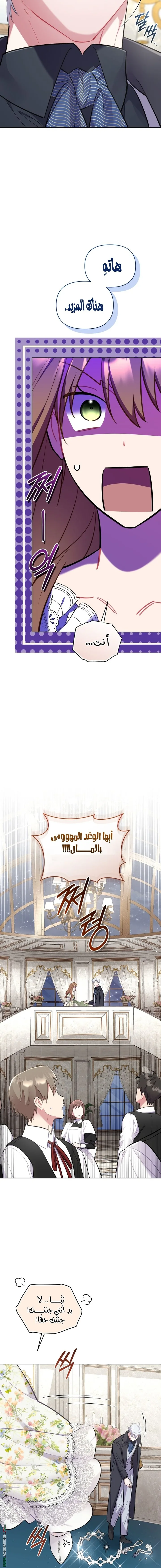 الصفحة 16