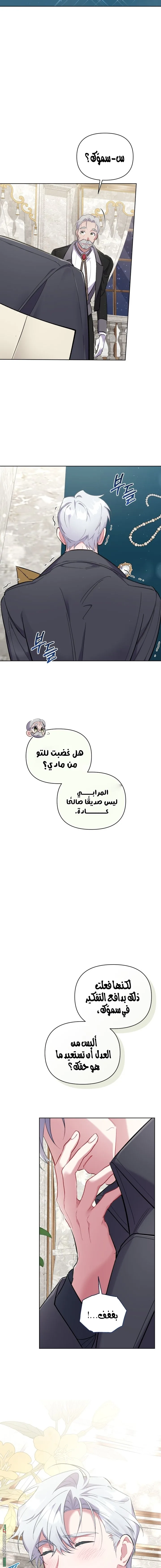 الصفحة 17