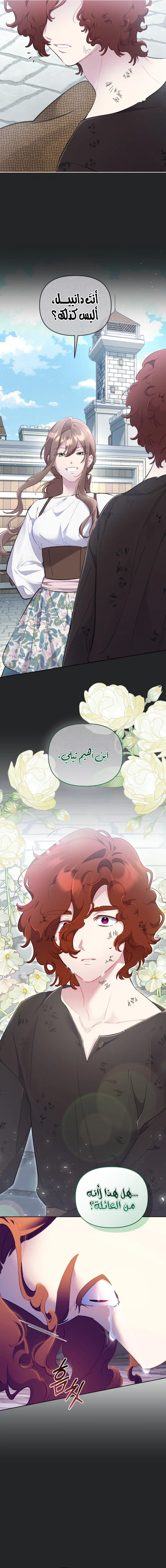 الصفحة 17